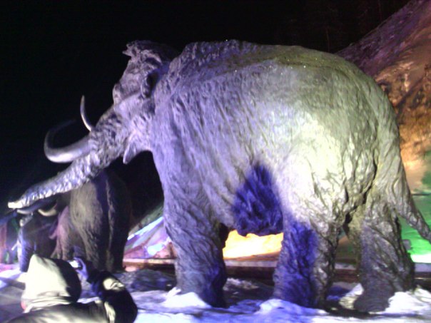 №20, Юра Башков №20, Юра Башков