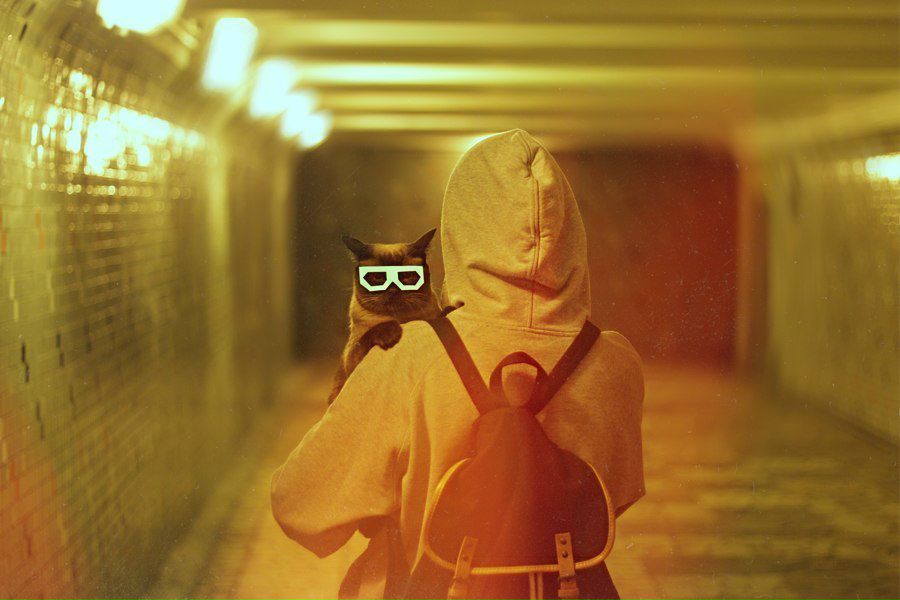 Кирилл Романиченко ром | Мирный