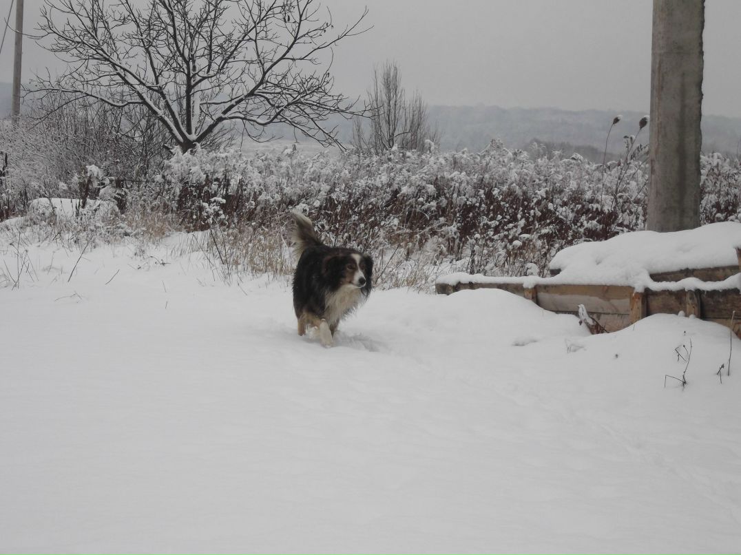 Наташа Белая | Винница