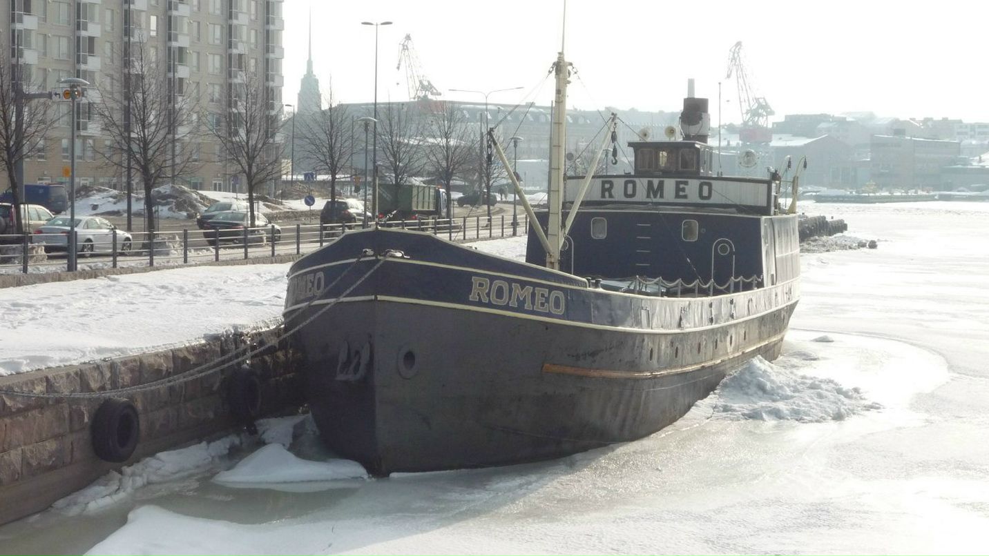 Александр Алексеев | Санкт-Петербург