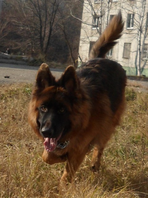 Екатерина Гравшенкова | Хабаровск