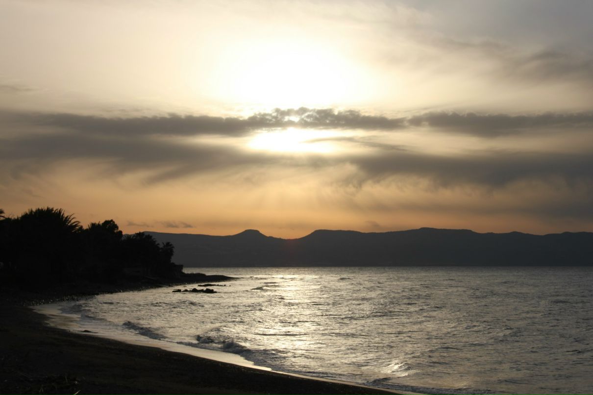 Оля Третьяк | Санкт-Петербург