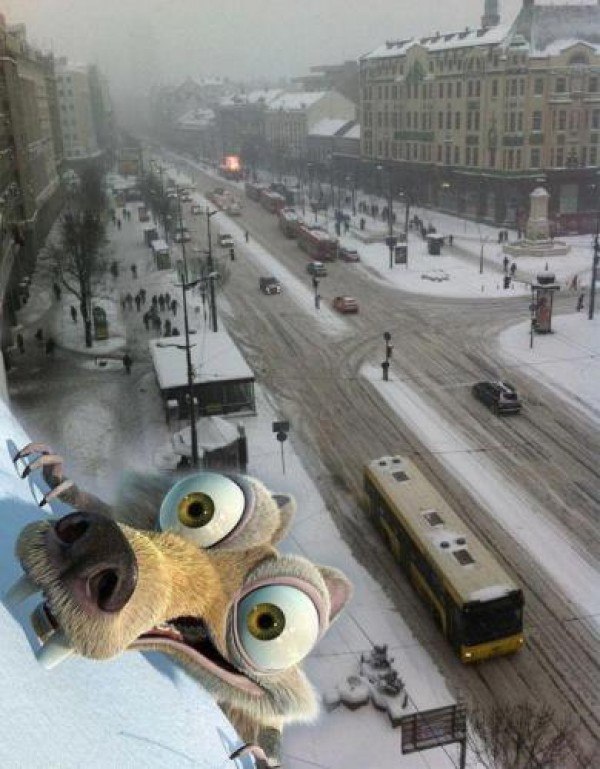 Елена Мышкина | Москва