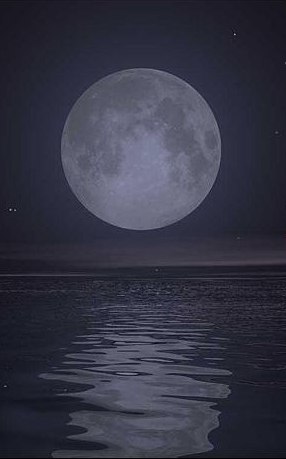 Вероника Коновальчук | Сургут