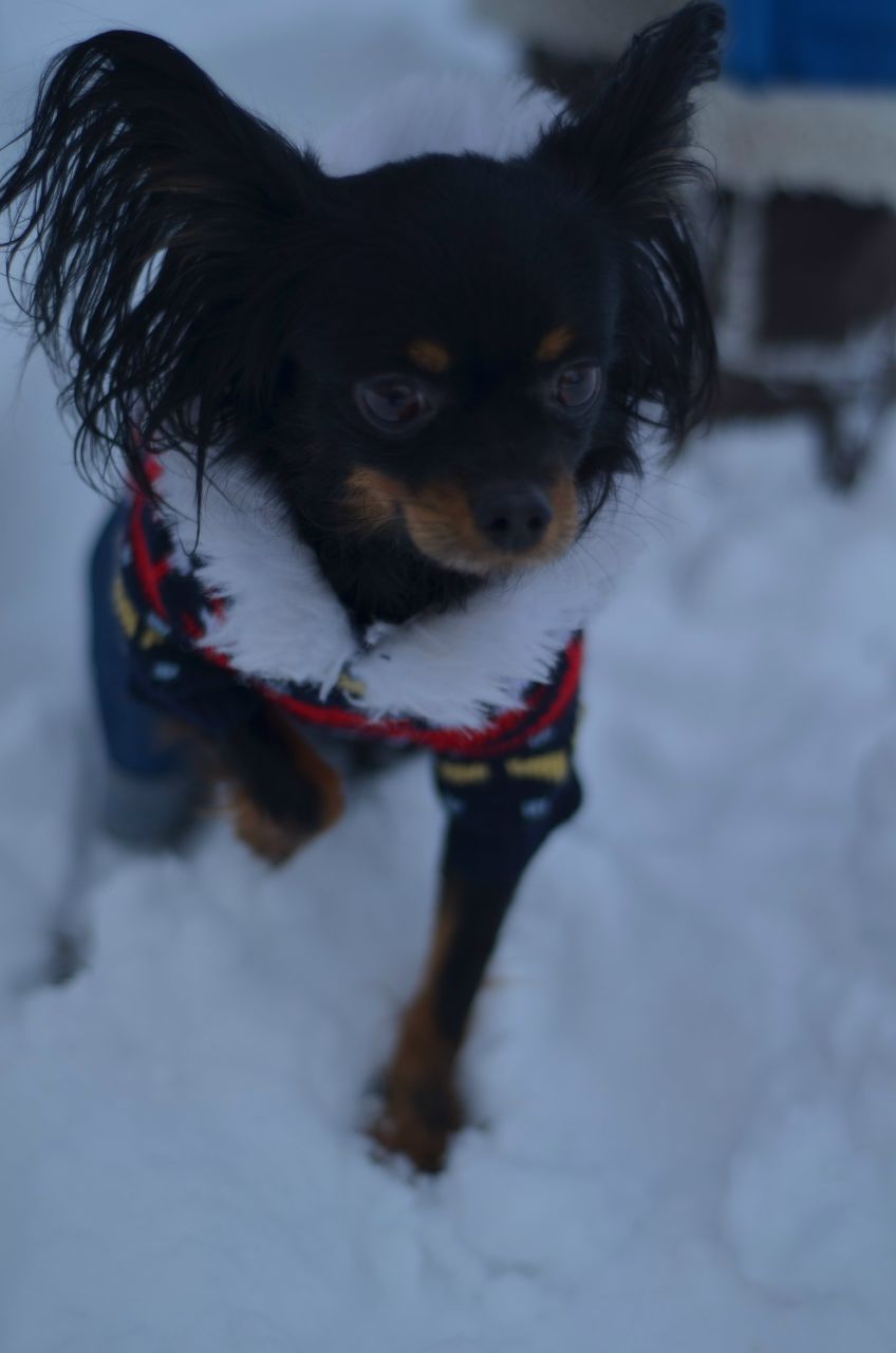 Анастасия Канышкина | Москва