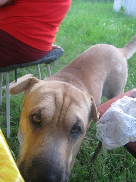 Ольга Анатольевна Анатольевна | Кириши