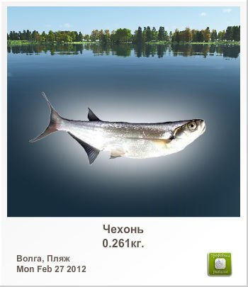 Максим Павлюковский | Сыктывкар