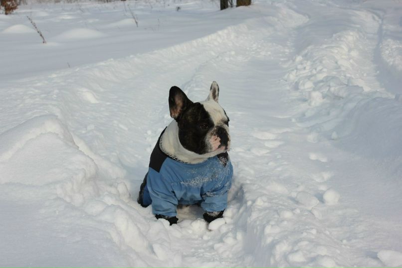 Юлия Ластович | Киев