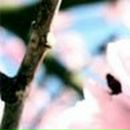 Алёна Дышина | Уфа