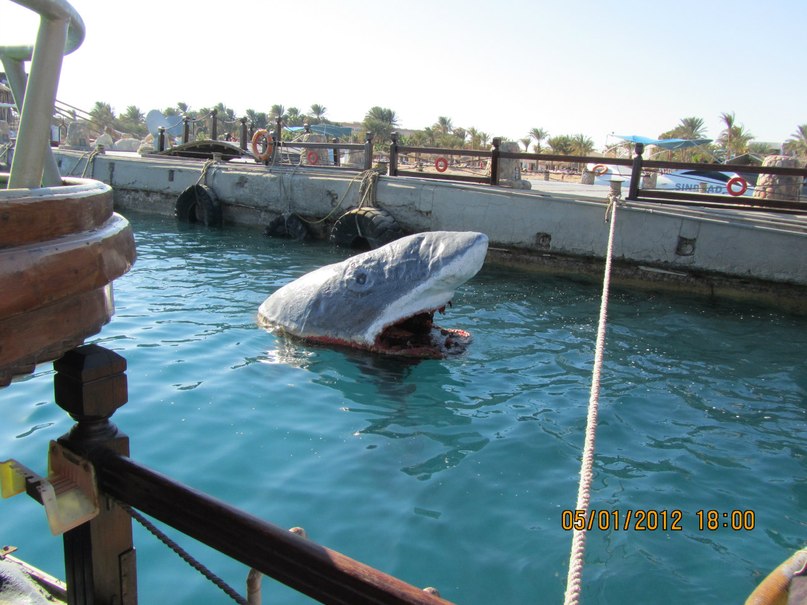 Анастасия Рыбалова | Тюмень