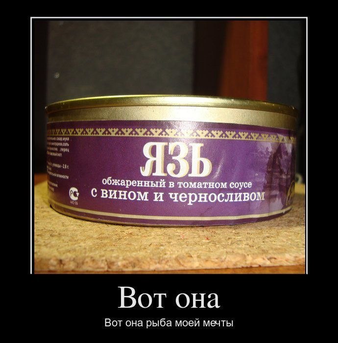 Евгений Бацман ELE©TRO-NI© | Springfield