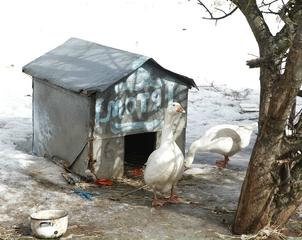Андрей Кочетков | Москва
