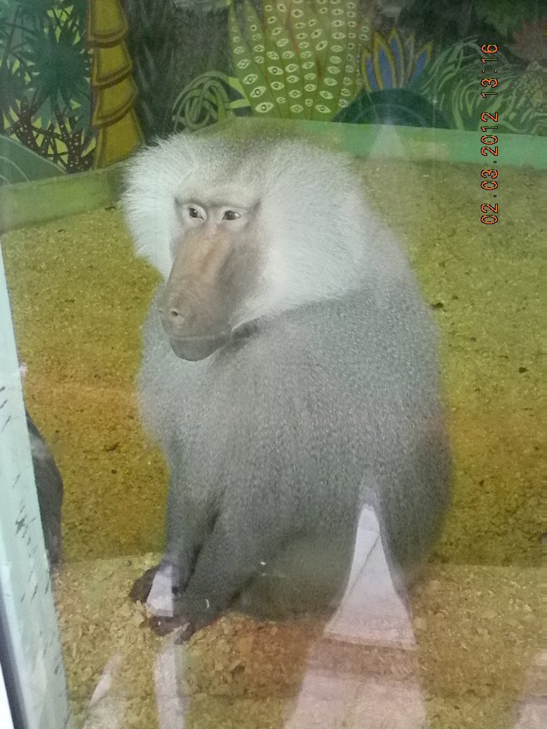 Олюшка Гончаренко | Витебск