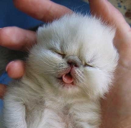 №48, Алёна Ярмолова, Волгодонск №48, Алёна Ярмолова, Волгодонск