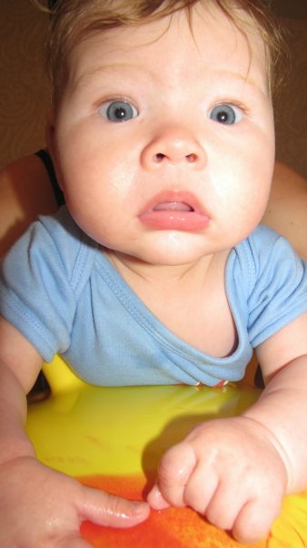 №17, Надежда Шендерова №17, Надежда Шендерова