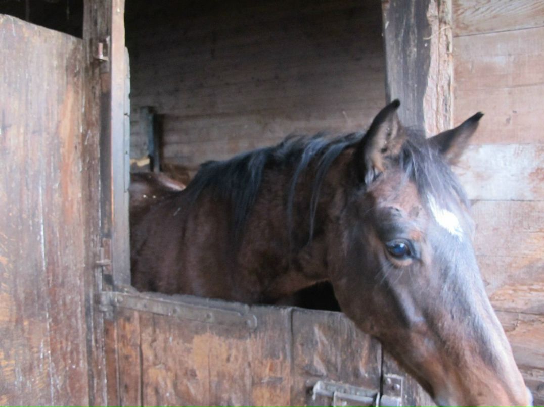 Никита Пичкалёв | Пермь