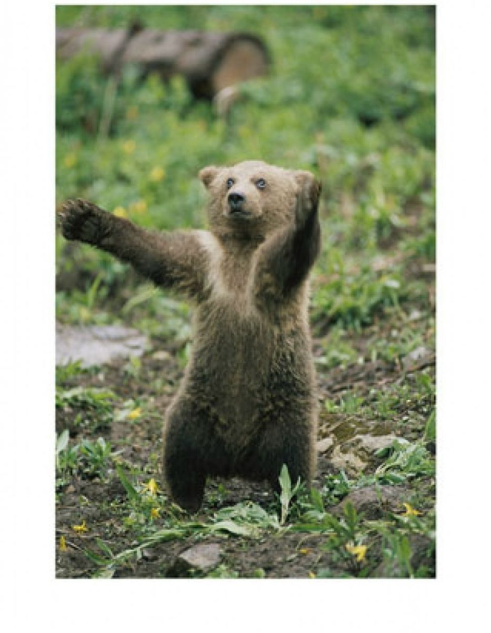 Алексей Прияткин | Самара