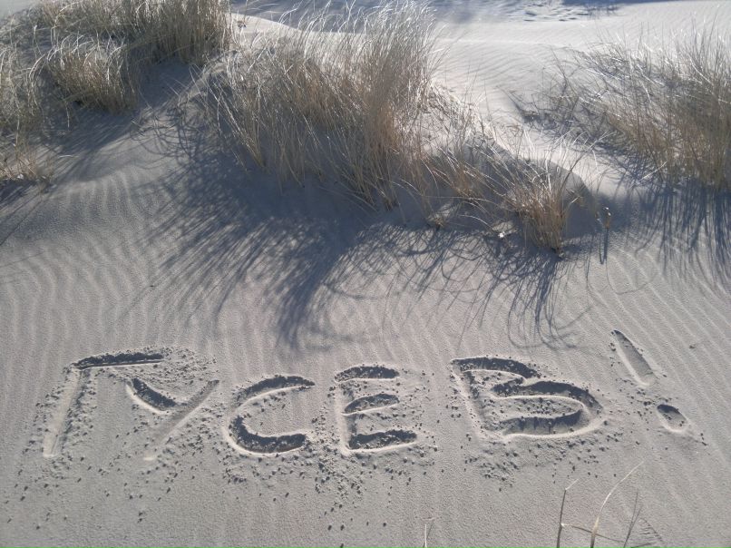 Александр Дробышев | Гусев