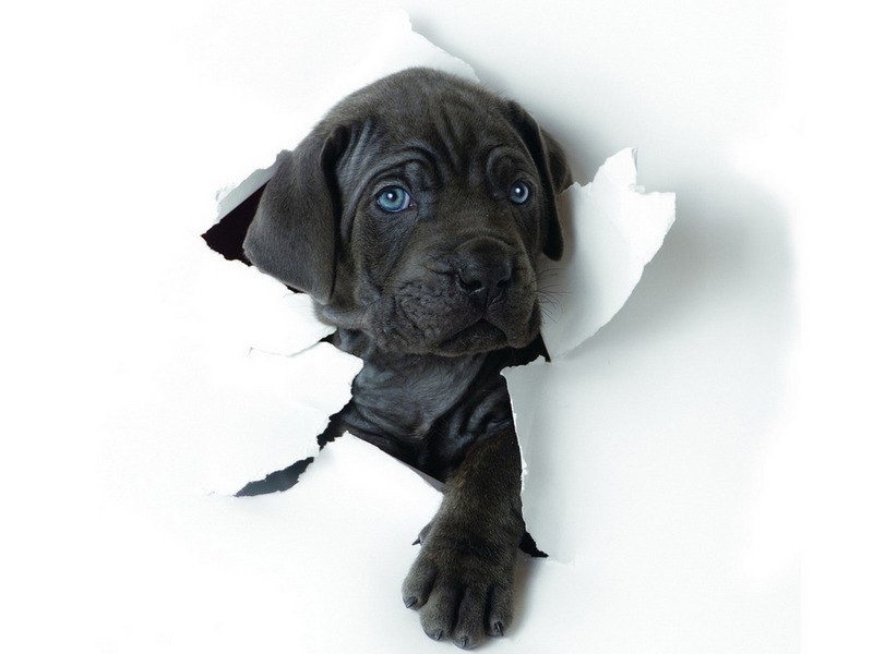 Александр Фёдоров | Санкт-Петербург