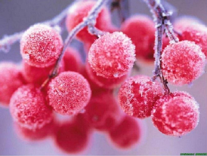 Anna Shipulina | Красноярск