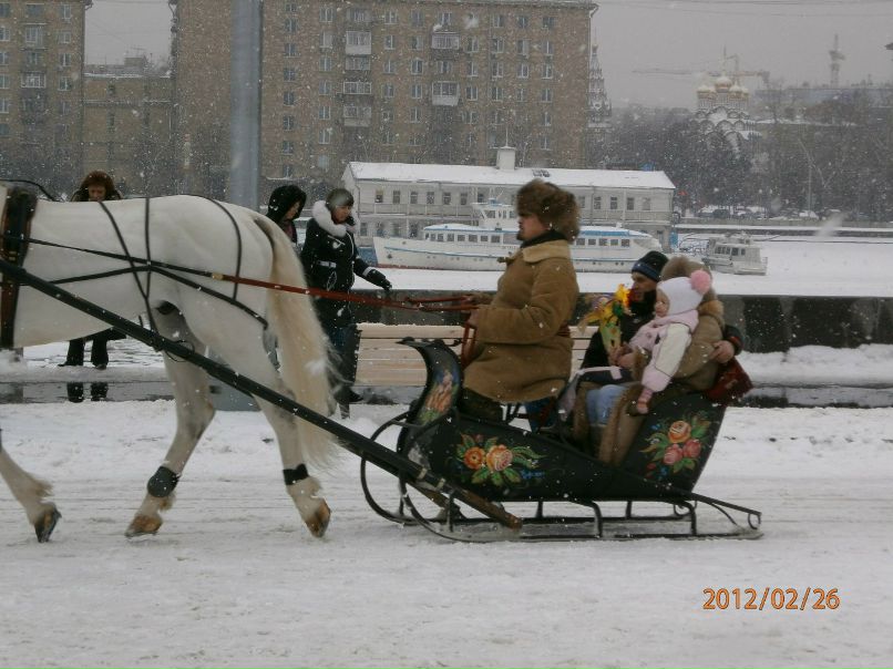 Татьяна Митина | Москва
