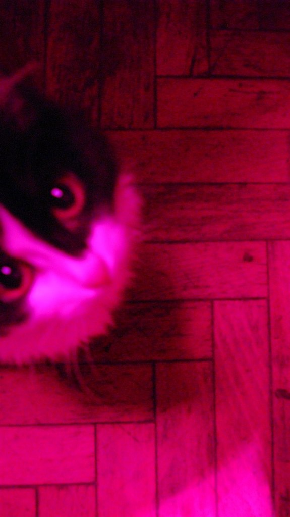 Cellar Door | Санкт-Петербург