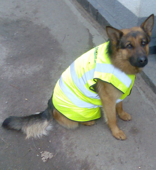 Женя Скакун ๑۩۩๑_Євген Сергійович_๑۩۩๑ | Рахны-Лесовые