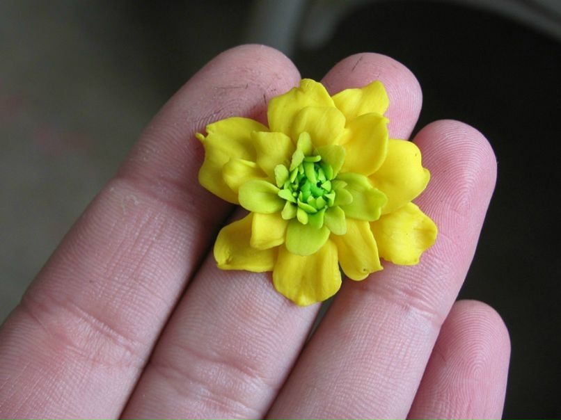 №163, Лена Истрати, 36 лет, Волгоград №163, Лена Истрати, 36 лет, Волгоград