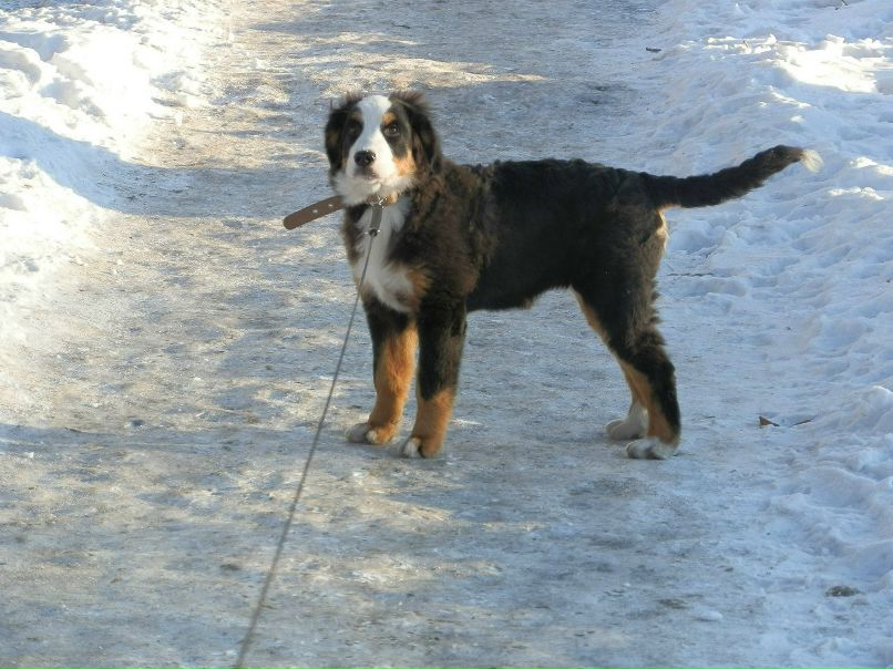 Оля Саакян | Люберцы