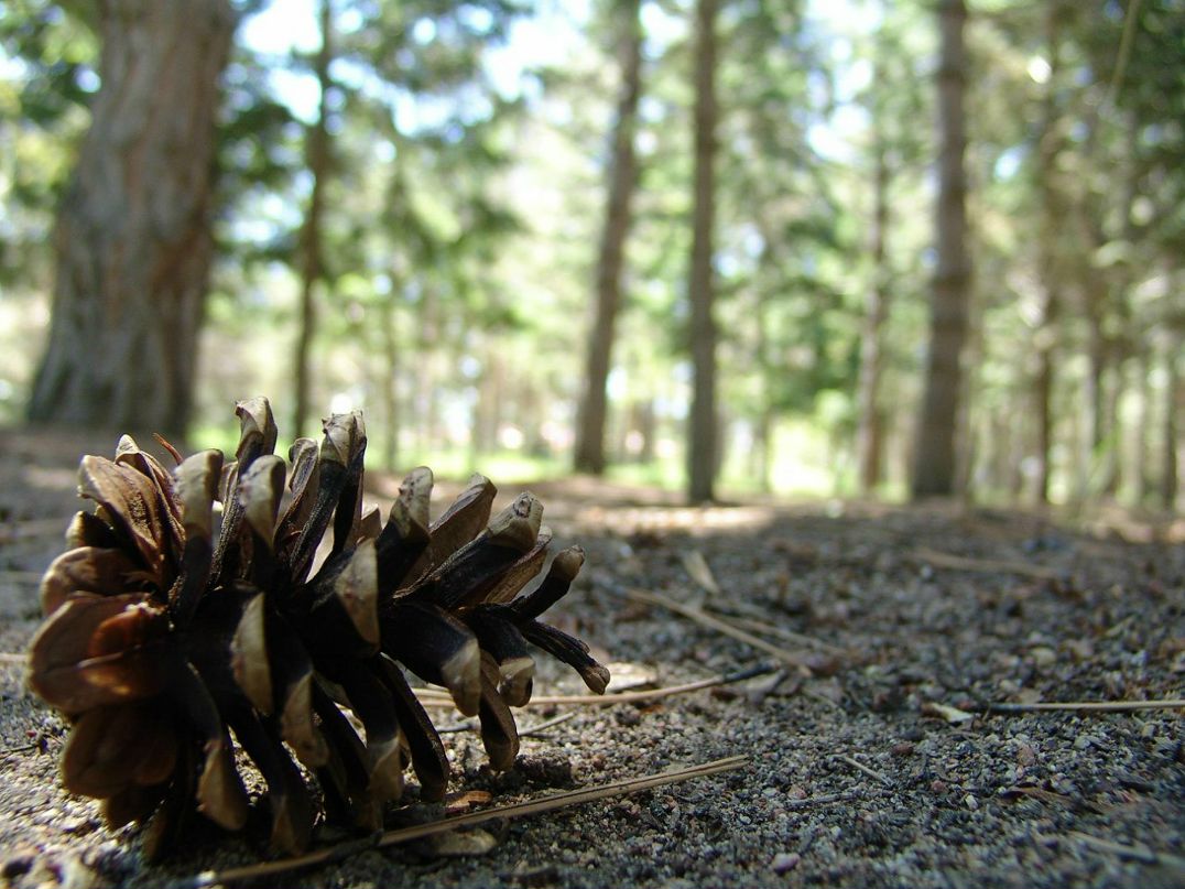 Данияр Жолборс | Москва