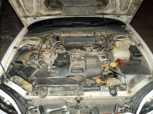 Павел Алексейцев | Новосибирск