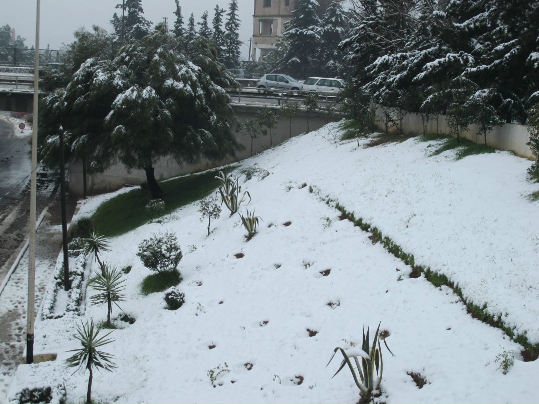 Михаил Алексеев | Йошкар-Ола