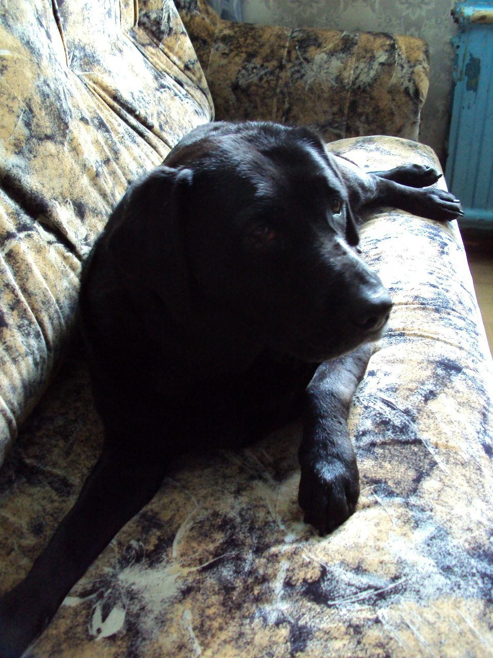 Сергей Цыбульский | Санкт-Петербург