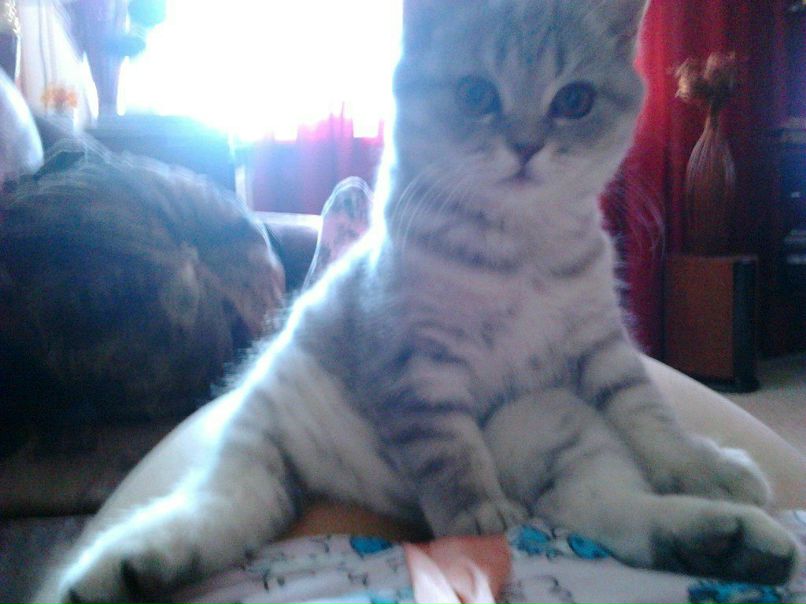 Катя Севрюкова | 