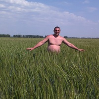 Евгений Волков