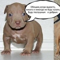 Дмитрий Макаров