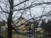 Екатерина Бородько фотография #47