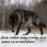 Саня Кригер