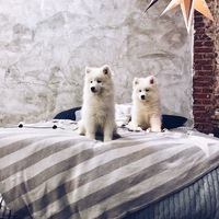 Мария Васина