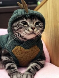 Вера Семенова