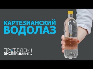 Картезианский водолаз. Проведём эксперимент! №18