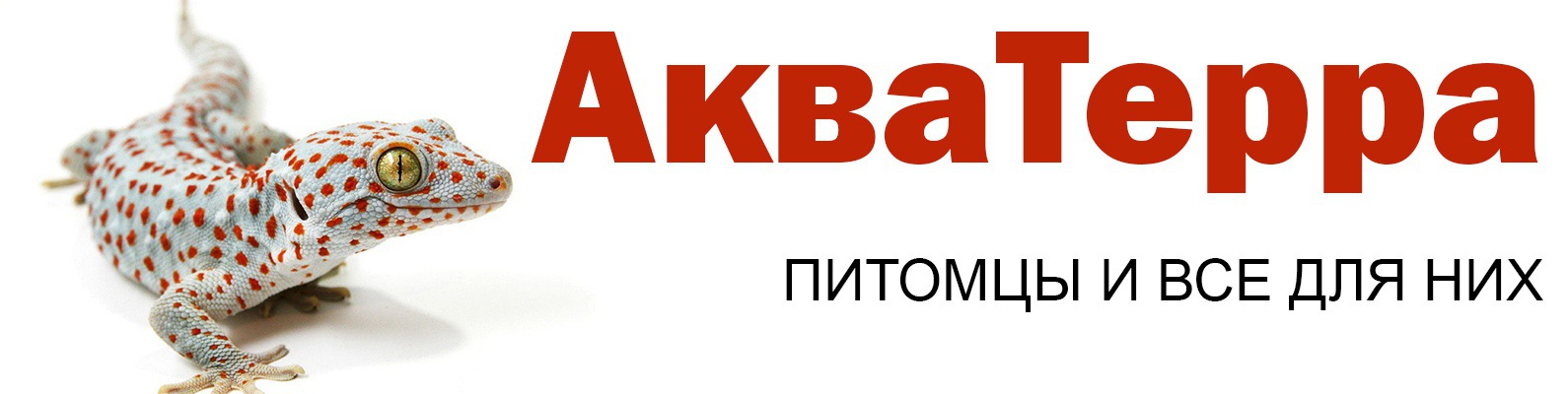 Зоотовары Интернет Магазин Красноярск С Доставкой
