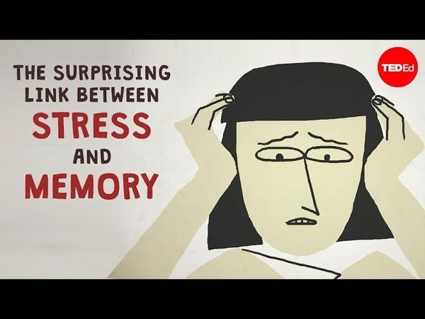 The surprising link between stress and memory Elizabeth