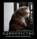 Фотография Андрей Бондаренко