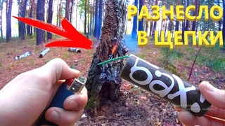 ✅ ГНИЛОЕ ДЕРЕВО + МОЩНАЯ ПЕТАРДА 🔥 ВЫЖИВАНИЕ В ЛЕСУ + ЛЕСНЫЕ ЛАЙФХАКИ 💥 Когда дерево начало гореть..