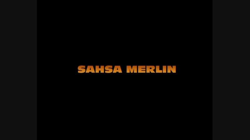 Sasha Merlin BD party