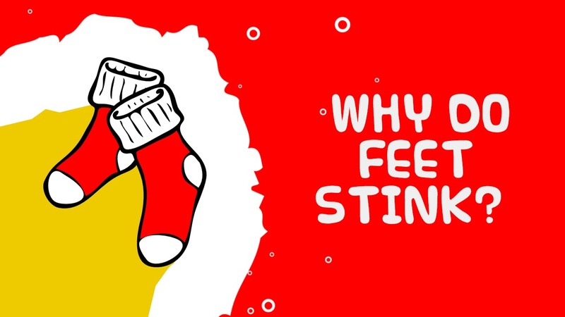 Why Do Feet Stink Foot facts for