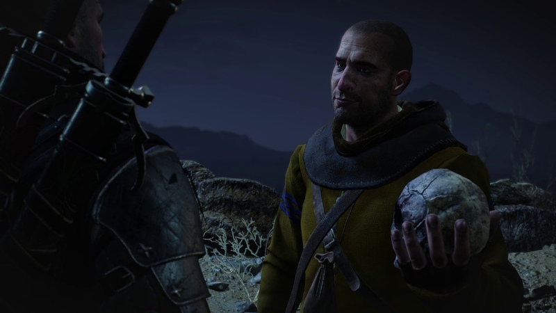 Witcher 3 wild