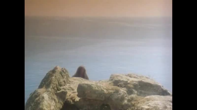 Робин из Шервуда (1984 1986), реж. Роберт Янг, 12