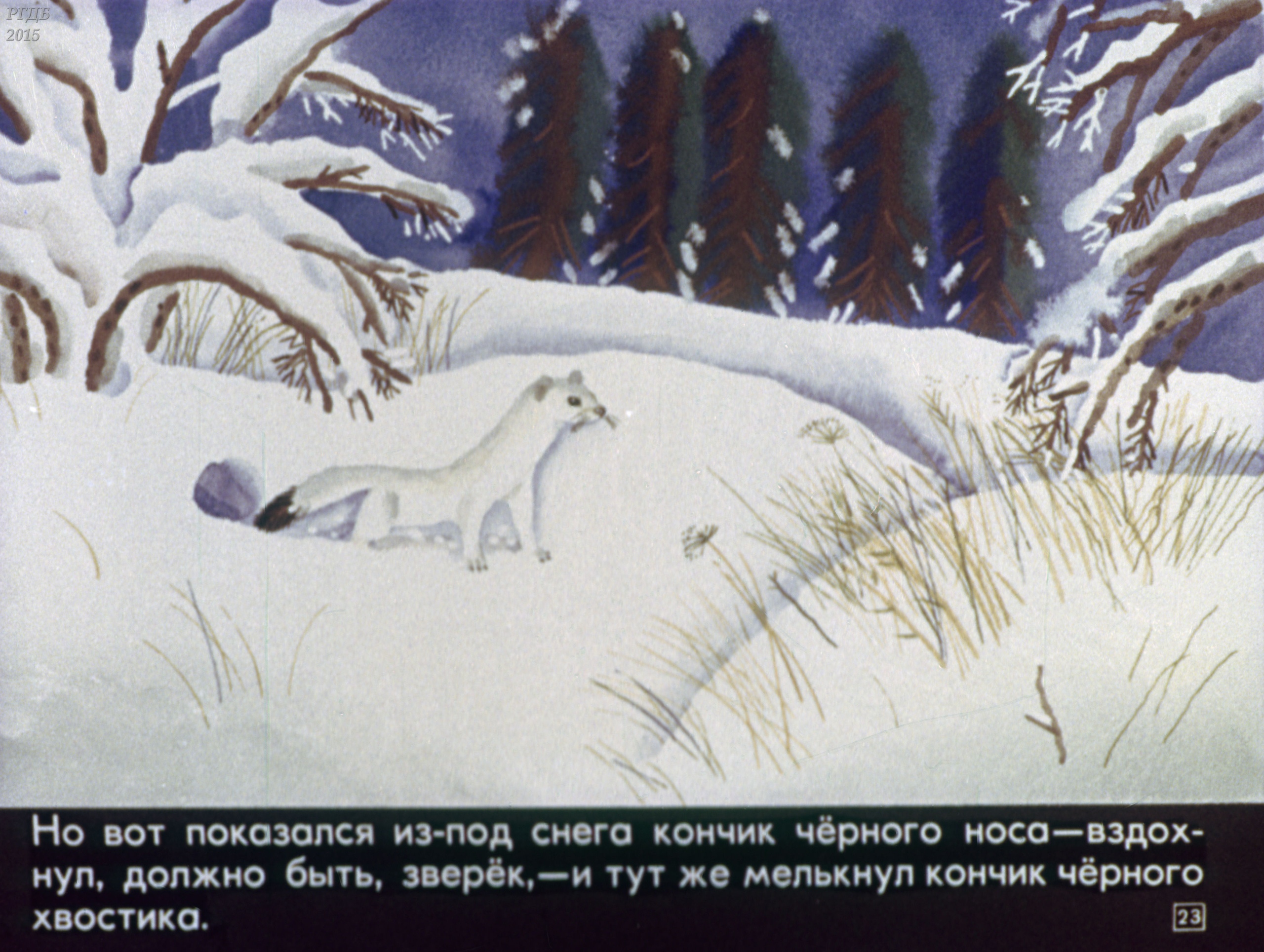 Смотреть диафильм "Агас - отважный горностай" Смотреть диафильм "Агас - отважный горностай"
